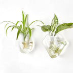 Mkono Wall Planter Propagation Stations Hanging Glass Terrariums Vase Container - Image 8