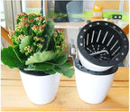 2 Pcs 3.5“ Self Watering Planter White Flower Pot, Flowers Plants, Small Mini - Image 4