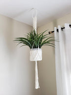 Cuttte Macrame Plant Hanger, Indoor Outdoor Hanging Planter Basket, Hanging - Image 8