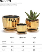 Ton Sin Gold Plant Pots, 4.1+5.1+6.5 Inch Ceramic Succulent Planters Set of 3 - Image 2