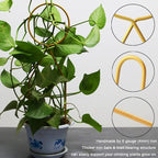 Small Metal Trellis for Potted Plants, Plant Support Stake Mini House Plant - Image 3