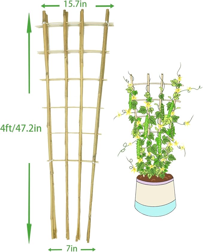 Natural Bamboo Trellis, Fan-Shaped Plant Support Trellis - Image 2