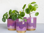 Gepege Ceramic Pots for Plants, Rainbow Pearl Glaze Planter - Image 4
