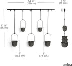 Umbra Triflora Hanging Planter for Window, Indoor Herb Garden - Image 3