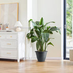 12 Inch Plant Pots, Large Planters - Image 6