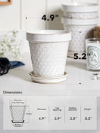 LE TAUCI Ceramic Plant Pots, 4.9 Inch Flower Pots - Image 3