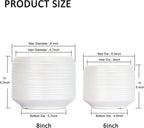 8 Inch + 6 Inch Ceramic Plant Pots Indoor - Image 2