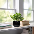 G EPGardening Small Ceramic Planter - Image 6