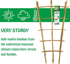 Natural Bamboo Trellis 24 Inches Tall, Mininfa Garden Ladder Trellis, Plant - Image 3