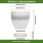 Ceramic Planter - Image 3
