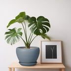 Ceramic Pot for Plants - Image 8