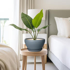 Ceramic Pots for Plants - Image 7