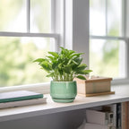 G EPGardening Ceramic Plant Pot - Image 6