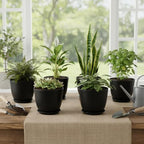 Plant Pots 8 Inch Set of 6, Flower Pots - Image 7