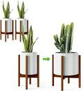 MUDEELA Plant Stand for Indoor Plants: Adjustable Width Fits 8-12 Inch Pots by MUDEELA