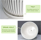 Ceramic Plant Pots Set of 3, 6.75/5.6/4.2 inch Planters - Image 3