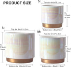 Gepege White Indoor Pots for Plants, Ceramic Planter - Image 2