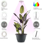 2 Pack 11 Inch Plant Pots with LED Grow Lights, Drainage Holes & Plug, Soil - Image 5