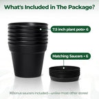 T4U 7.5 Inch Plant Pots 6 Pcs, Flower Pots - Image 6