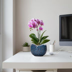 6 Inch Plant Pot - Image 5