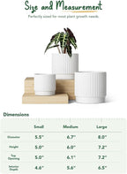 LE TAUCI Ceramic Pots for Plants, 8+6.7+5.5 Inch Plant Pots Indoor, Flower Pot - Image 5