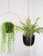 2 Pack Hanging Planters for Indoor Plants - Image 2