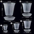GREENPARA Transparent Plastic Garden Pots Planter - Image 2
