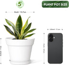 5 Inch Plastic Plant Pots with Drainage Holes and Trays – 6 Pack Small Nursery - Image 3