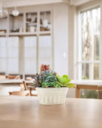 vensovo 10 Inches Beige Metal Rustic Plant Pots - Image 6