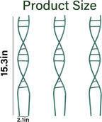Indoor Plant Trellis for Potted Plants - Image 2