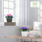 Self Watering Planters for Indoor Plants : 5 inch 6 Pack White Planter - Image 5