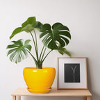 Ceramic Pot for Plants - Image 8