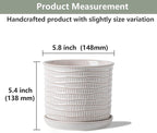 5.8 Inch Plant Pot: Ceramic Planter - Image 2