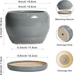 SQOWL 6 Inch Plant Pots - Image 3