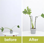 10-Pack Monstera Plant Support - Image 3