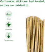 40pcs Natural Bamboo Sticks for Indoor and Outdoor Plants, 16 Inch Plant - Image 3