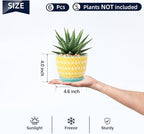 Selamica Ceramic Succulent Pots, 4.6 Inch Small Plant Pots - Image 2