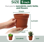 T4U Flower Pots 18-Pack, 5 Inch Plant Pot - Image 2
