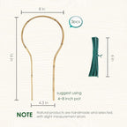 Plant Trellis Indoor 16in, Loop-Shaped Bamboo Trellis - Image 2