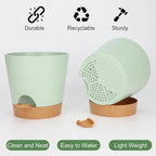 8-Inch Plant Pots, Self-Watering Planters - Image 4