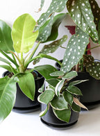 LE TAUCI Ceramic Plant Pots, 4.3+5.3+6.8 inch, Planters - Image 8