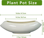 Bonsai Pots 18 Inch - Image 3