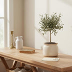 Ceramic Planter & Vase for Wabi Sabi Decor, 6.29 Inch Nordic Minimalist Flower - Image 6