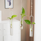 3 Pieces Hanging Plant Glass Test Tubes Hydroponic Vase Planters Wall-Mounted by AQRICHFOX