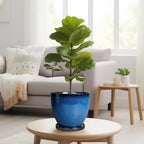 8 Inch Planter - Ceramic Plant Pot - Image 4