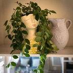 DiliComing Face Planter-Pots for Indoor Plants - Image 5
