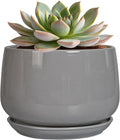 G EPGardening Ceramic Pot for Plants by GEPGardening