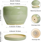 SQOWL Ceramic Pot for Plants - Image 3