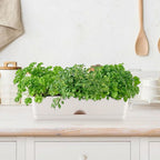 6 Pack Rectangle Planter 16x4.4 Inch Window Boxes Planters Rectangular Large - Image 2