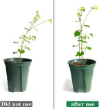 8 Pack Plant Stakes, Plant Support Stakes - Image 4